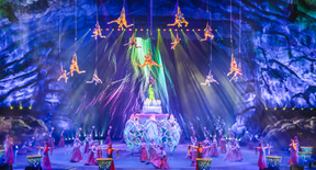Show Design